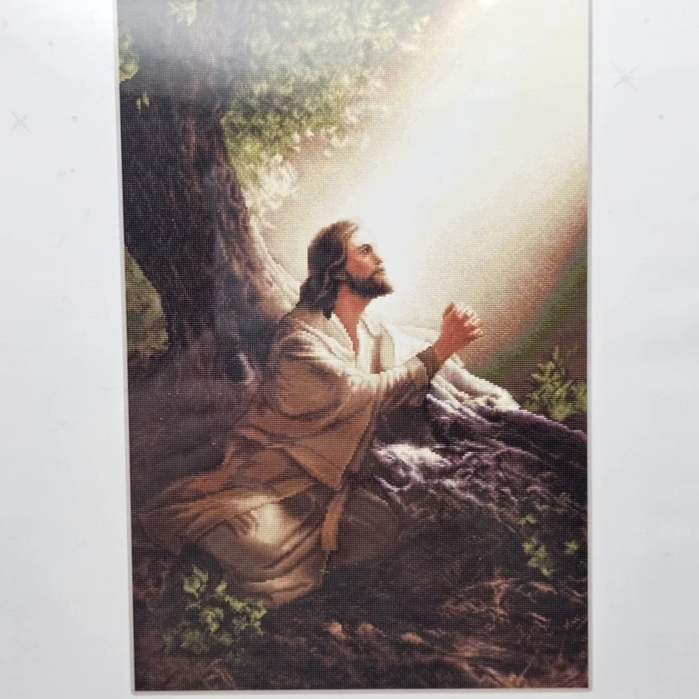 Luca-S Jesus Christ Cross Stitch Tapestry Kit G-608 13.25 x 8.75 Inches NEW